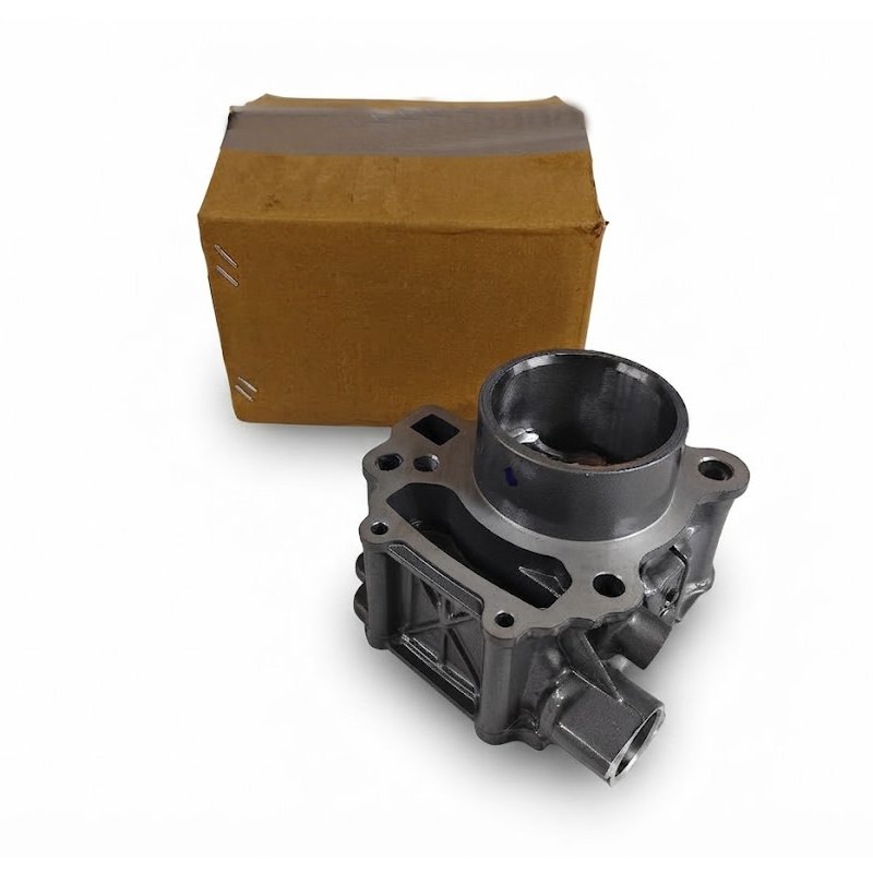 For KTM Adventure 250 Cylinder Block With Piston 2025 Model image 2